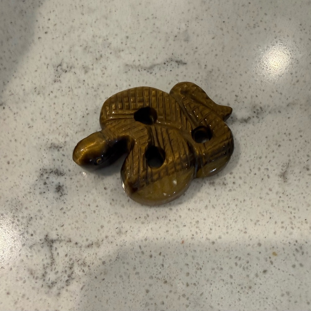 Tigers Eye Snake